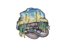 Load image into Gallery viewer, Rocky