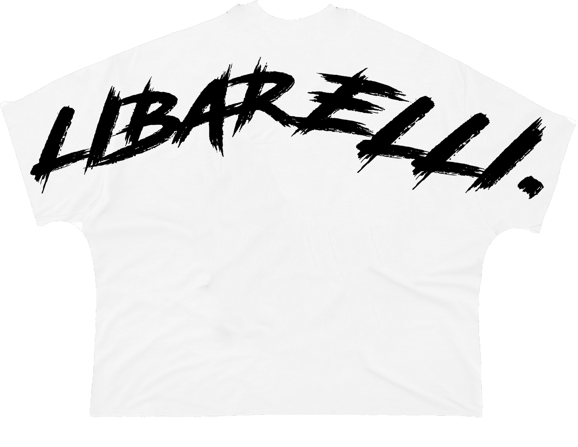 George Washington Libarelli George washington libarelli