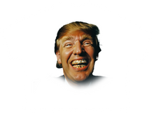 Load image into Gallery viewer, Trump
